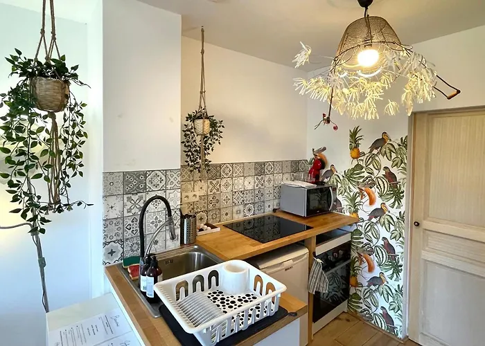Charmant 2 Pieces Atypique Apartment *